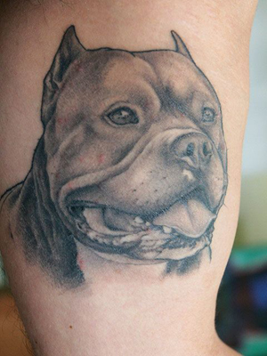 Ink Art Tattoos: Red and Blue Foo Dog Tattoo Sleeve Dogs/Dog, Bulldog, 